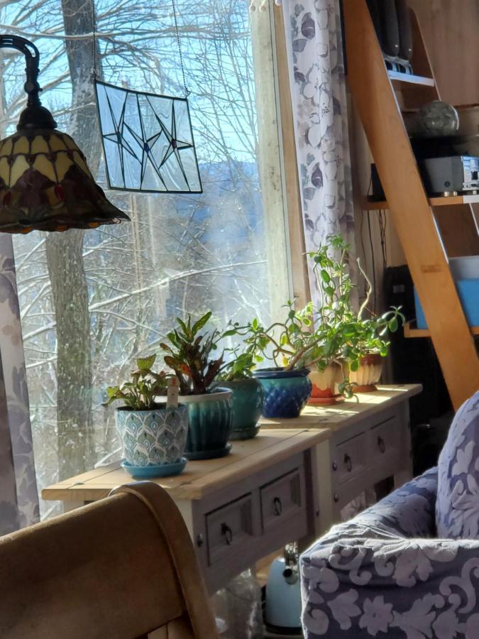 Treehouse Cathedral In Blue Ridge Mountains, Nc Villa Burnsville Ngoại thất bức ảnh