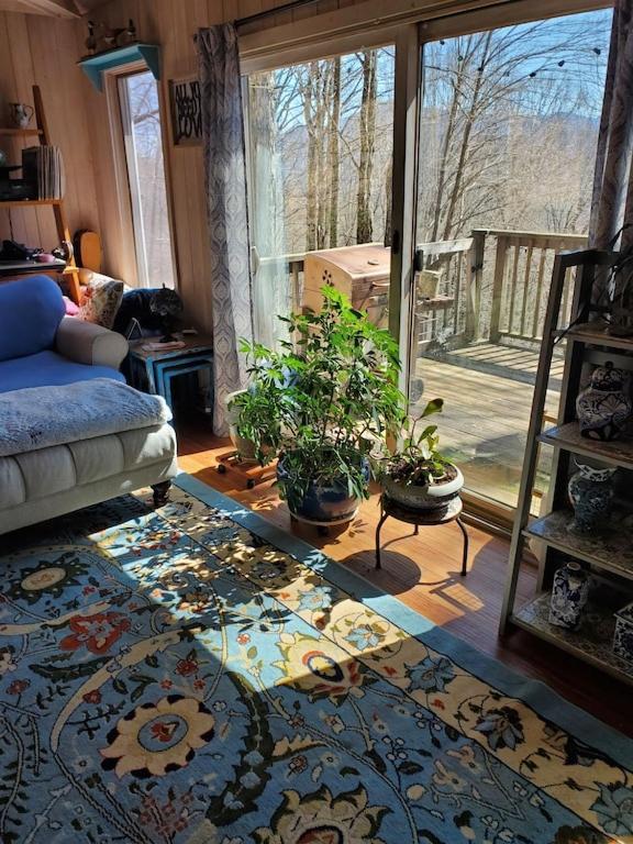 Treehouse Cathedral In Blue Ridge Mountains, Nc Villa Burnsville Ngoại thất bức ảnh