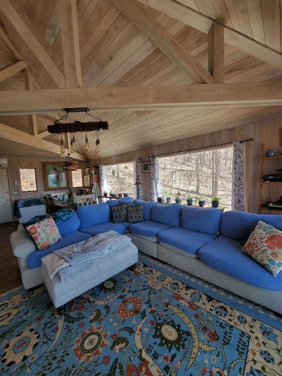 Treehouse Cathedral In Blue Ridge Mountains, Nc Villa Burnsville Ngoại thất bức ảnh
